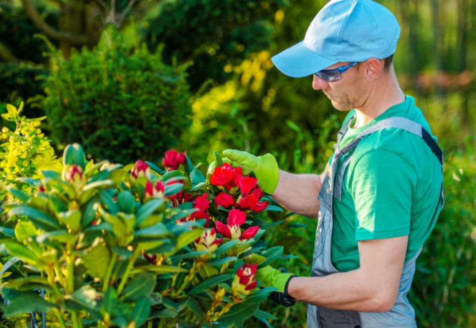 Jardins & Espaces Verts